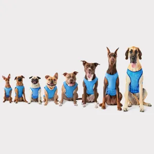 cooling blue ice vest - few left!