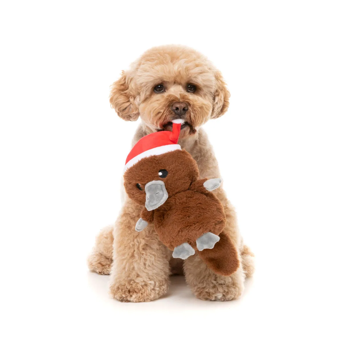 FuzzYard Dog Toy A-Wreatha Platypus Plush