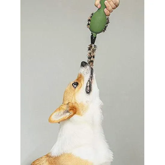 GiGwi - Duck 'Push To Mute' with Plush Tail - Dog Toy Green