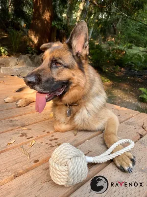 Hemp Rope Ball Tug Chew Toy for Dogs