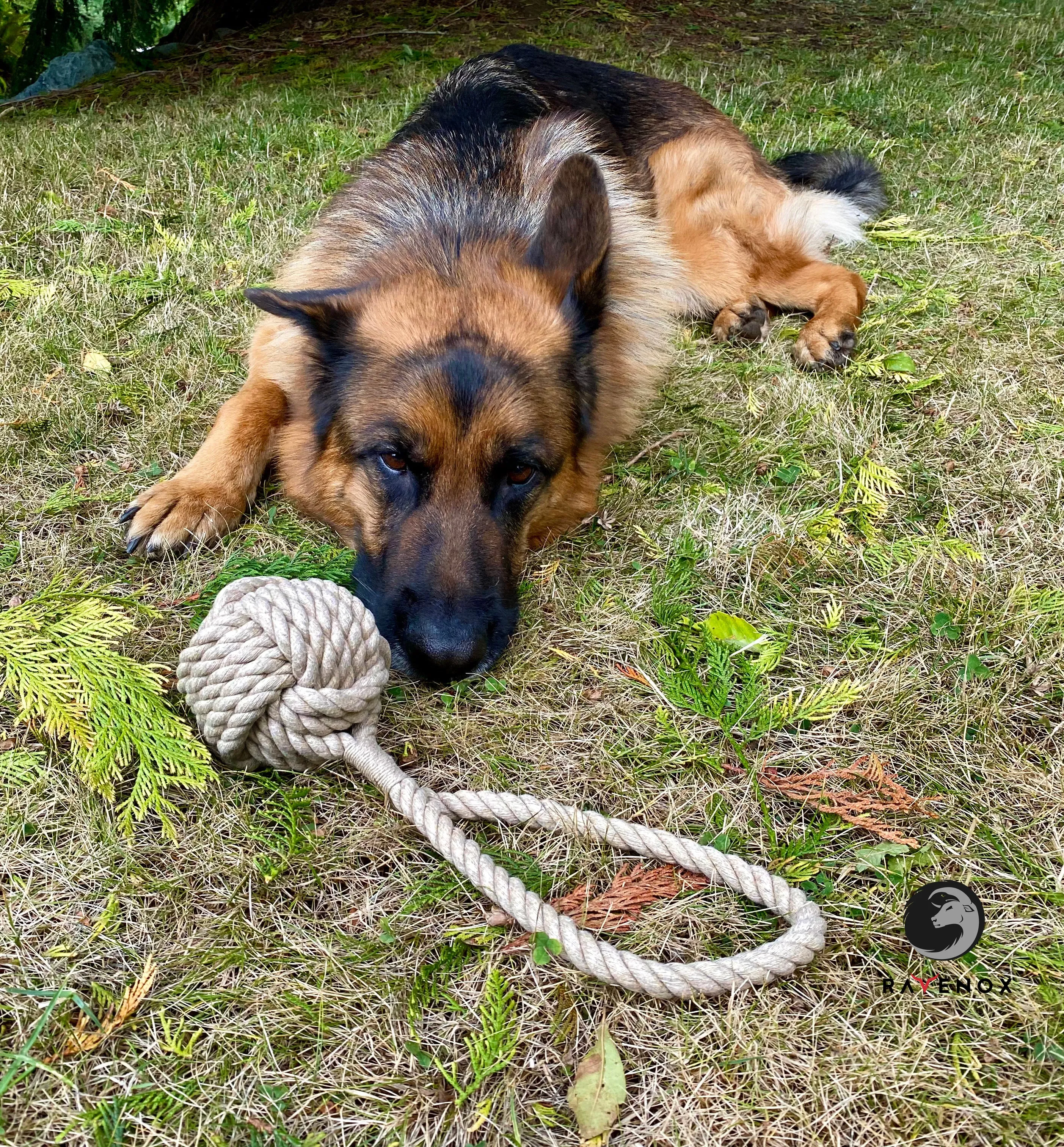 Hemp Rope Ball Tug Chew Toy for Dogs