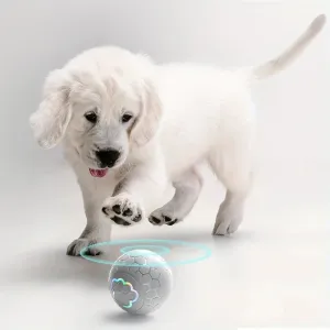 Smart Rechargeable LED Pet Ball – Interactive Light-Up Toy