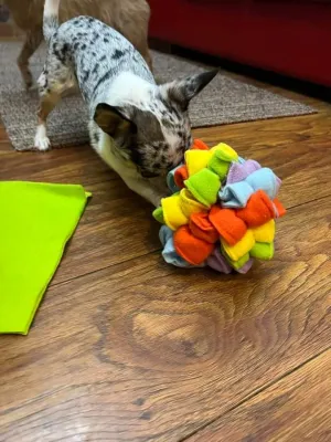 Sniff and Snack Leaf Balls